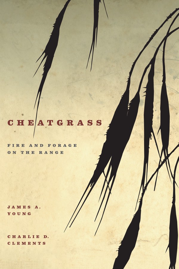 Cheatgrass: Fire and Forage on the Range, by James A. Young